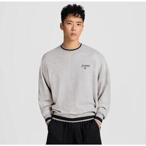 NWOT Champion Men's University Small Script Sweatshirt  Light Heather Gray Large